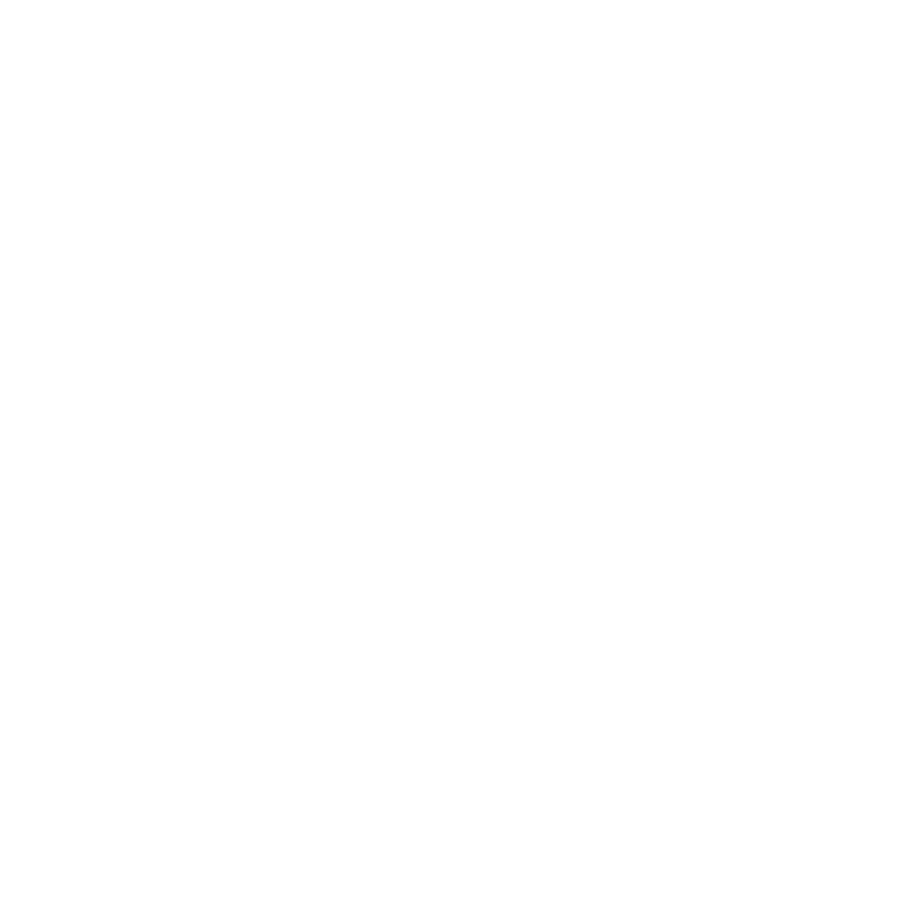Designed Systems logo